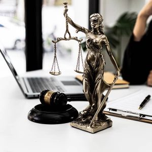 CJ 224 Introduction to Criminal Justice