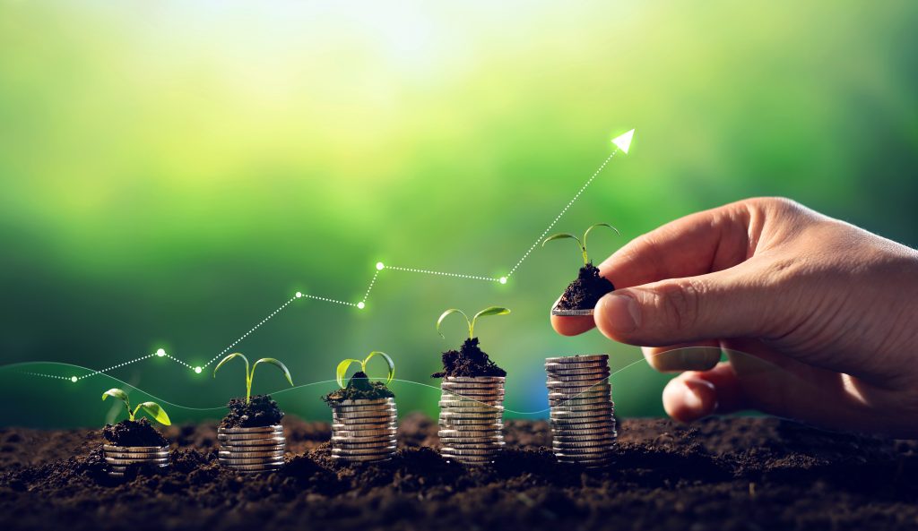 Building an Eco-Economy