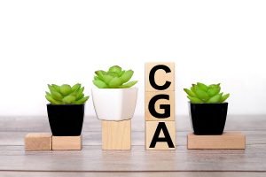 What is a Chartered Global Management Accountant