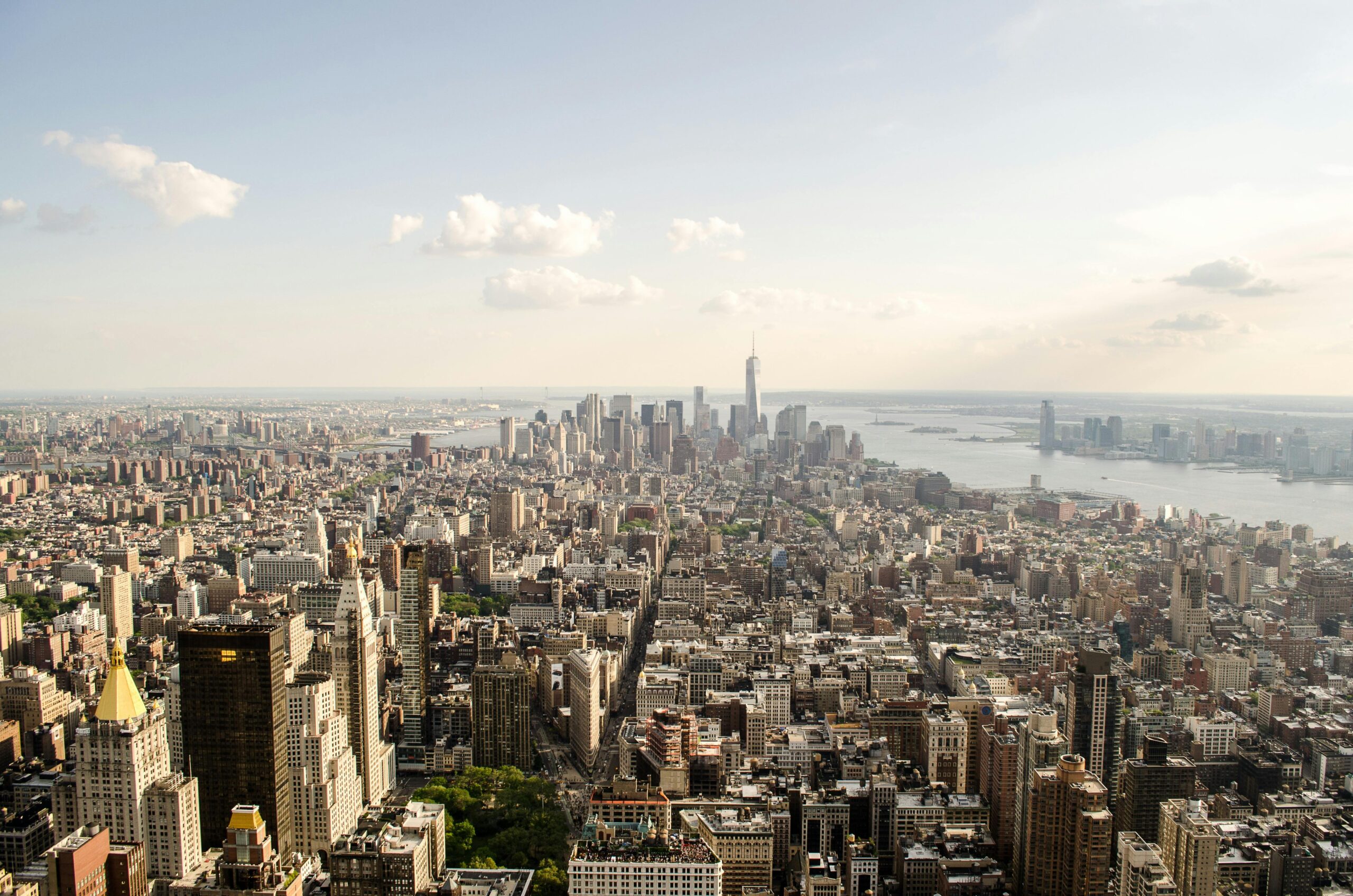 cpa license new york