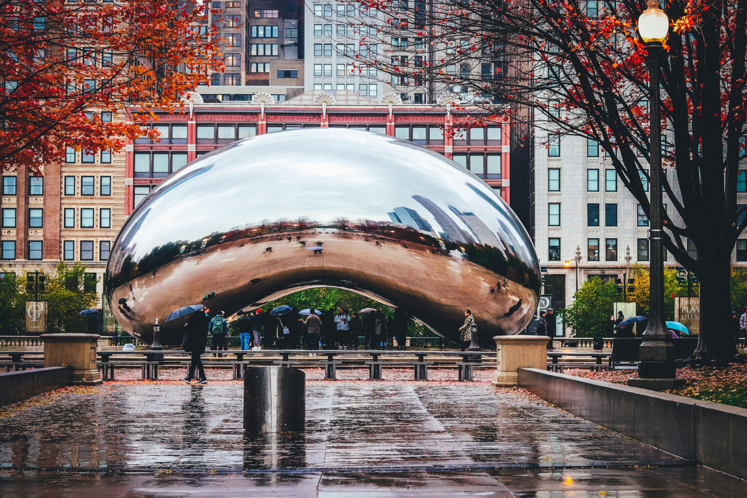 cpa license Illinois