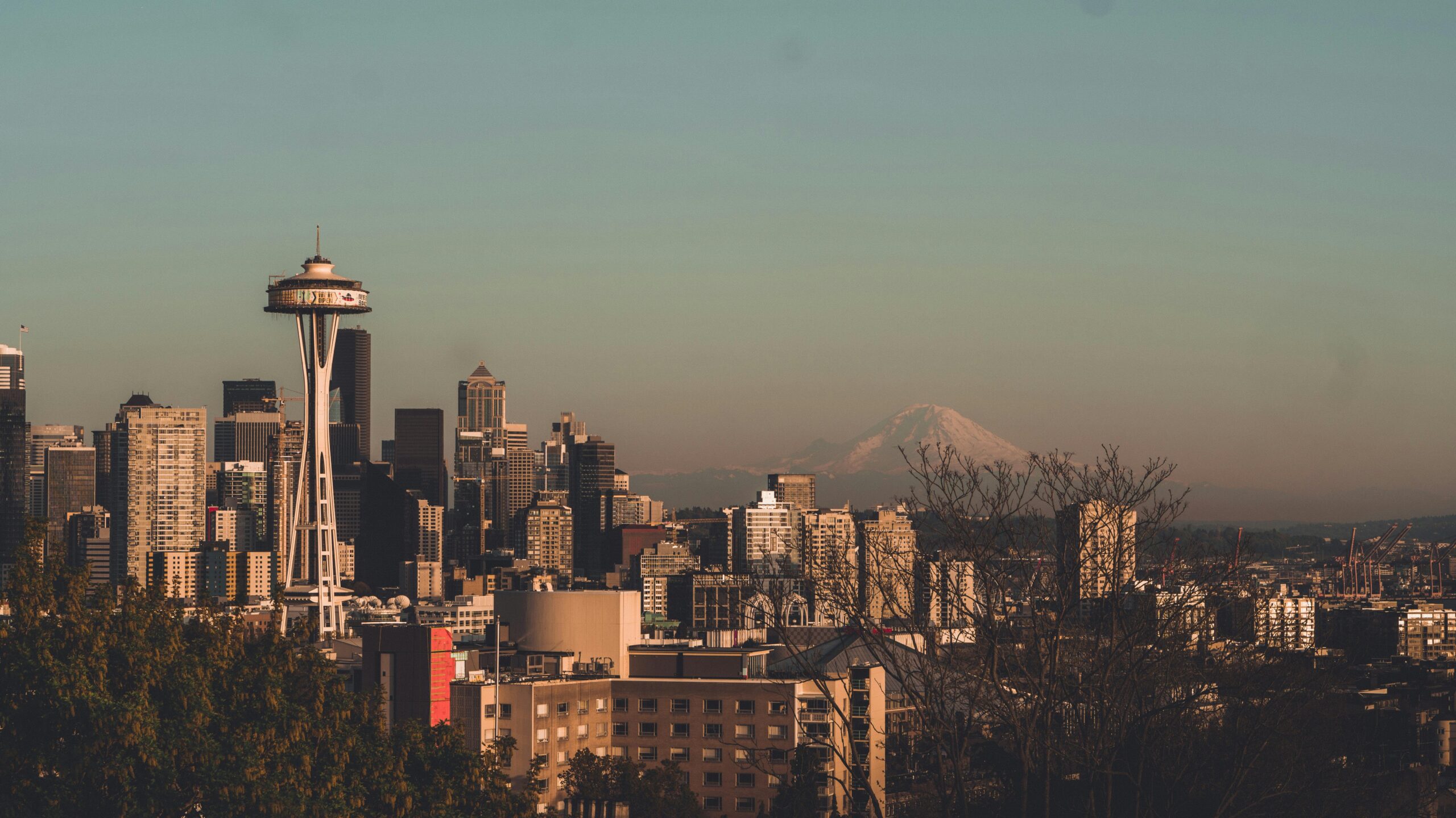 cpa license washington
